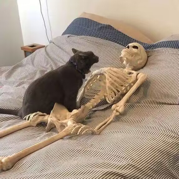 深渊(˶‾᷄ ⁻̫ ‾᷅˵)