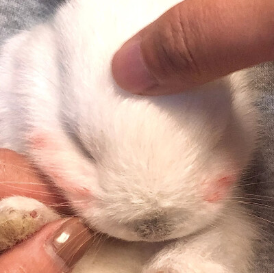 可爱˃ ⌑ ˂自截