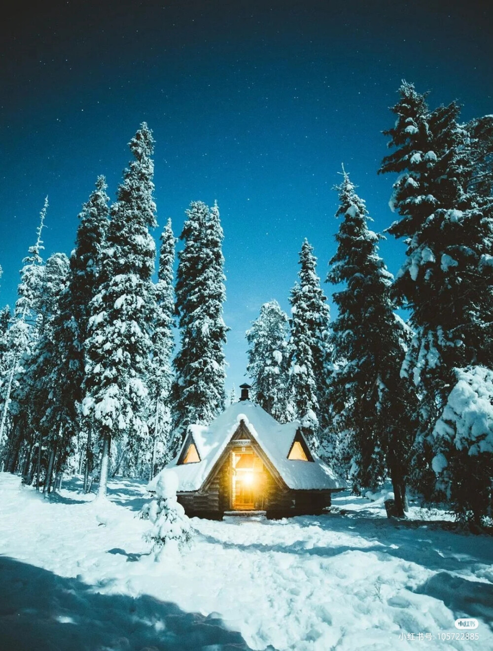 雪景