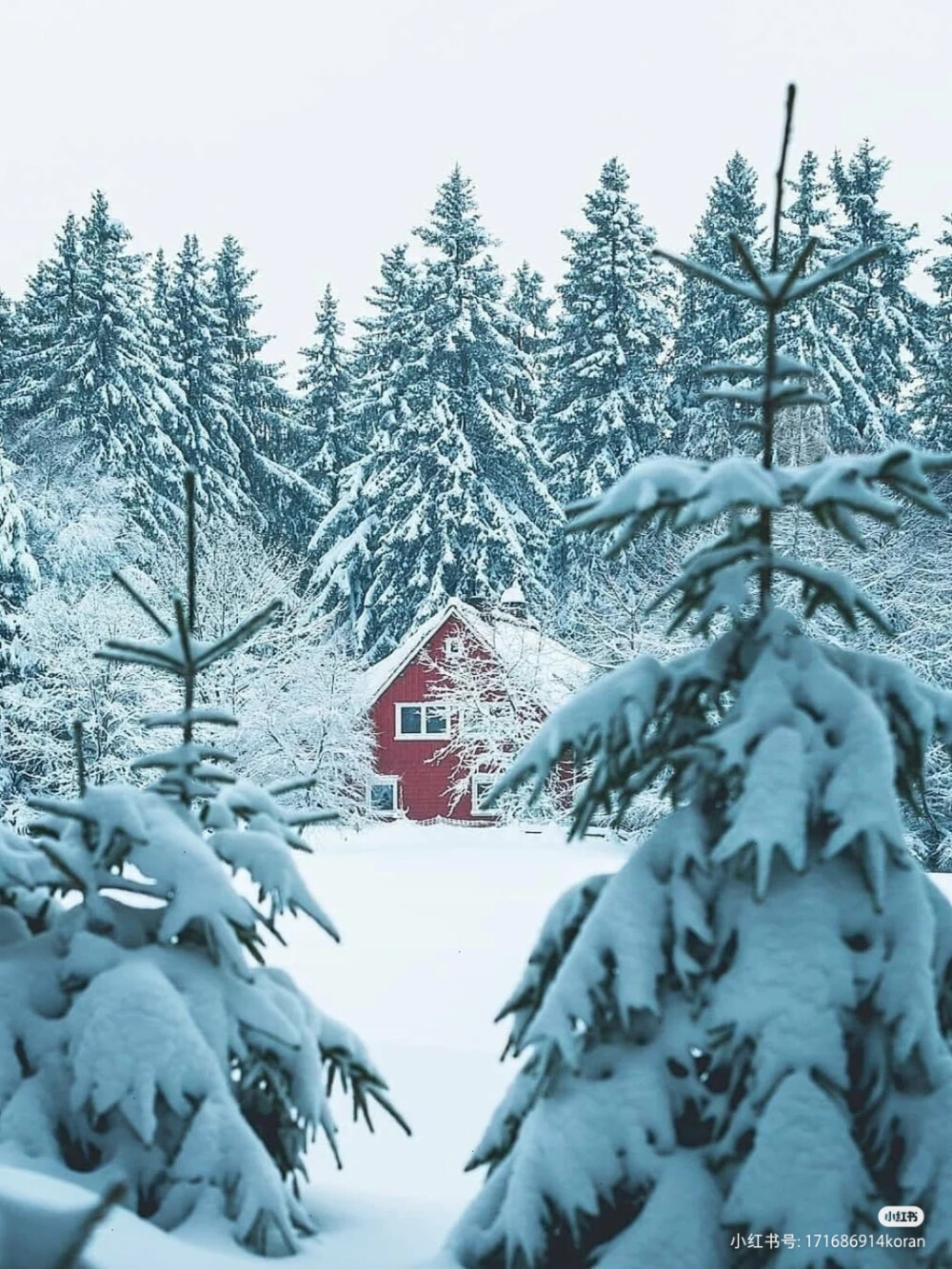 雪景