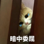 猫咪可爱表情包