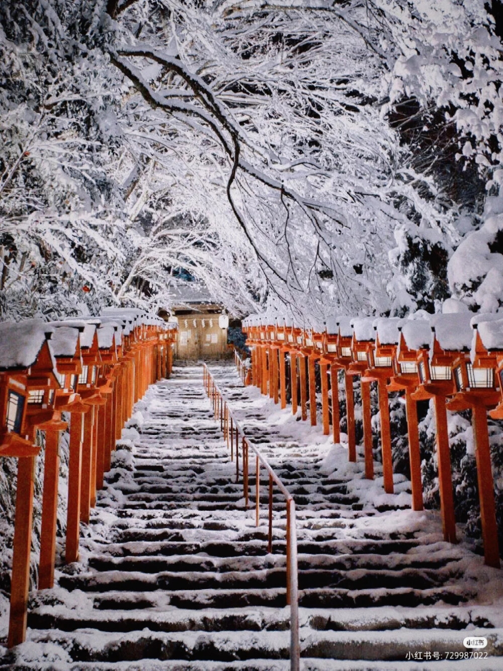 雪景