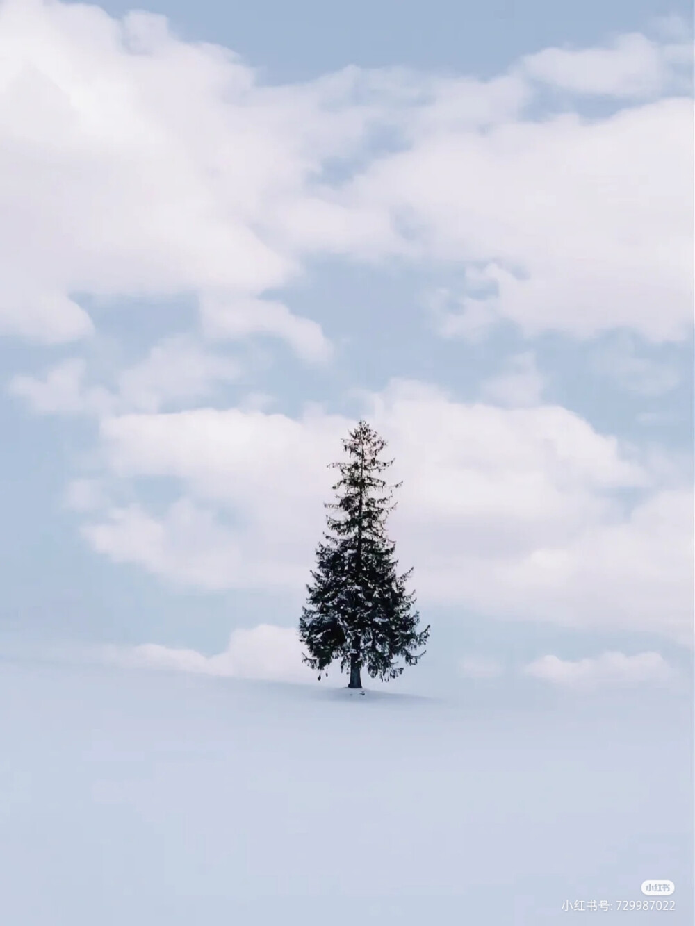 雪景