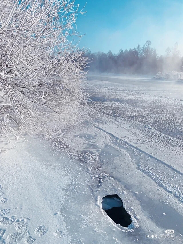 雪景