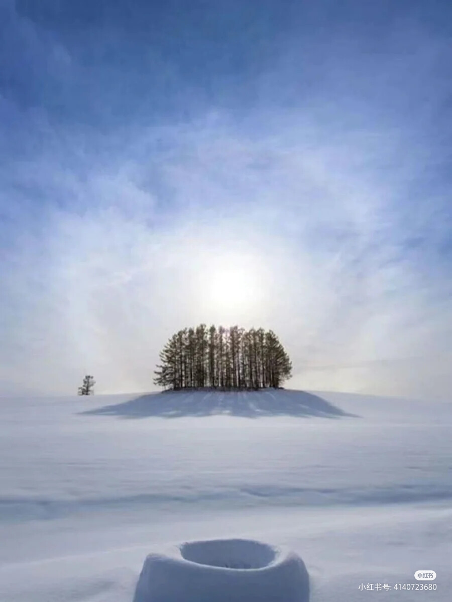 雪景