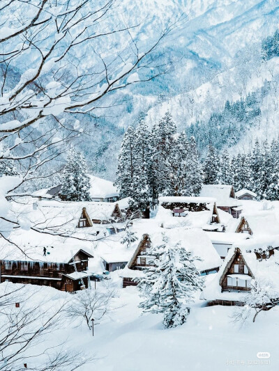 雪景