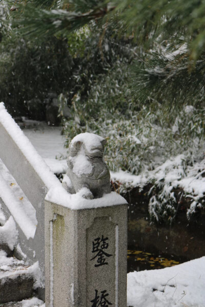 冬天的雪花