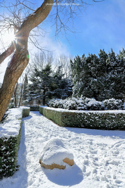 下雪了，初雪，想和你一起看