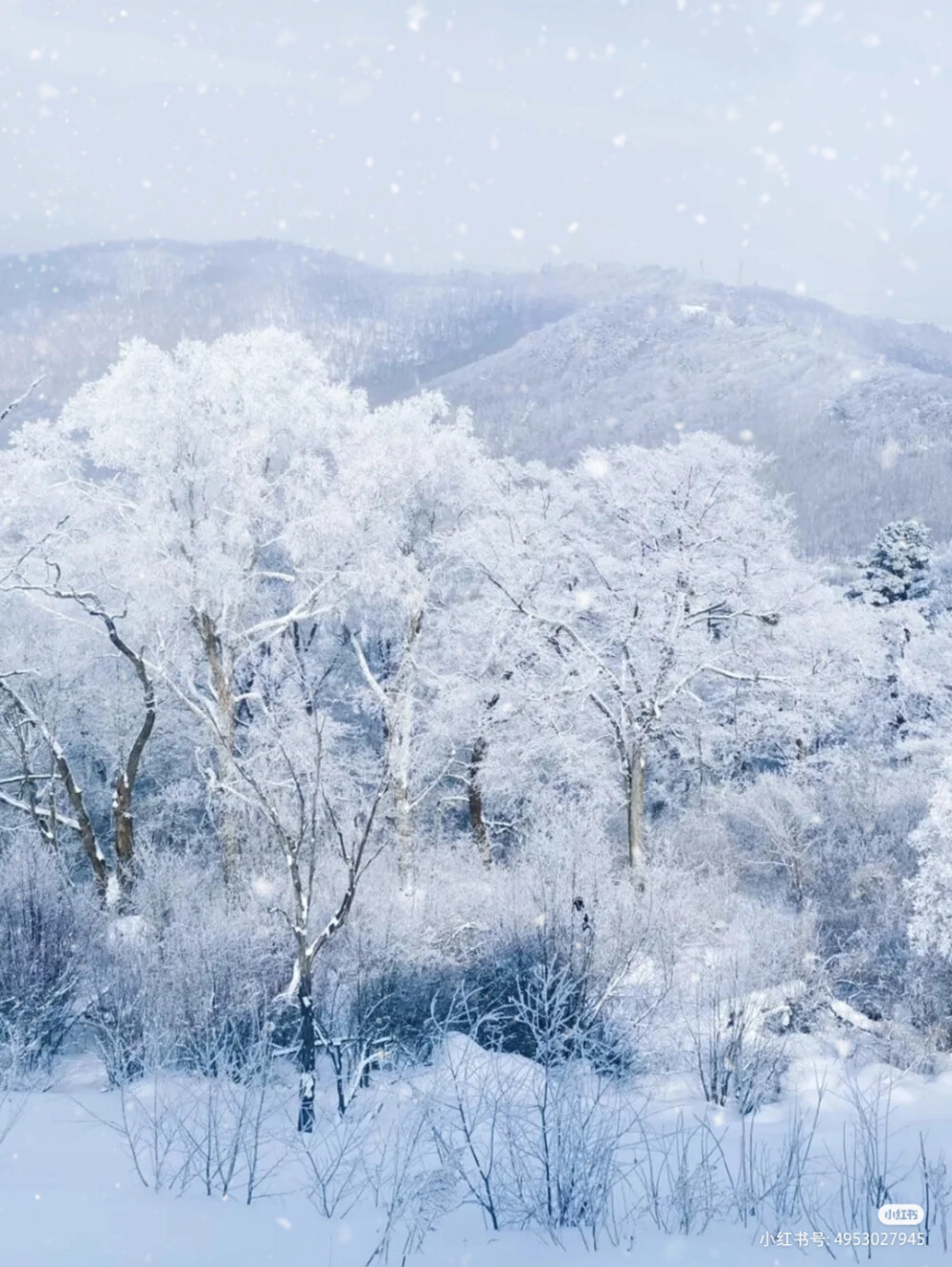 雪景