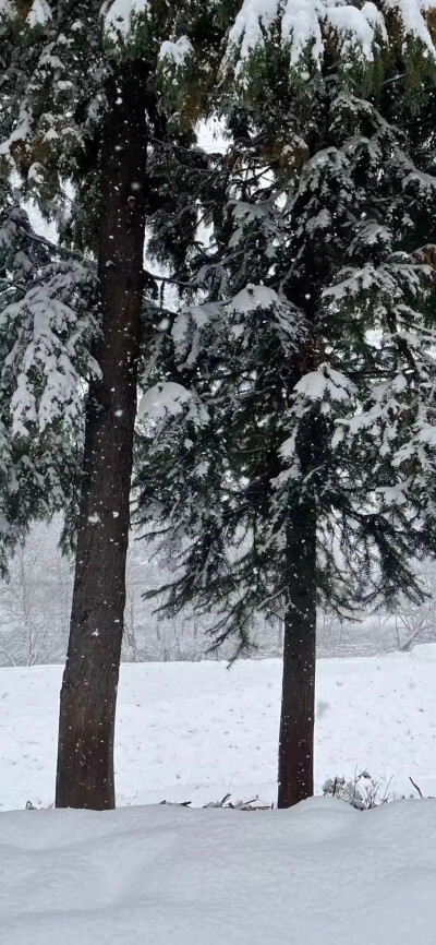 壁纸高清氛围感高清雪景