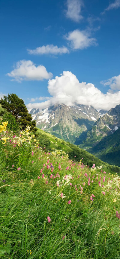 分享一座山峰