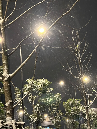 下雪啦