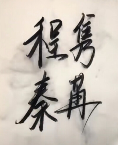 秦家有女,名苒,相貌绝代,身着黑衣,头顶黑帽,性格怪异。众人待她,俯首称臣,以敬吾神。 世有公子程隽,遗世而独立,淡漠而冷血,手握重权,品行不ー。得见秦苒,抱美而归。