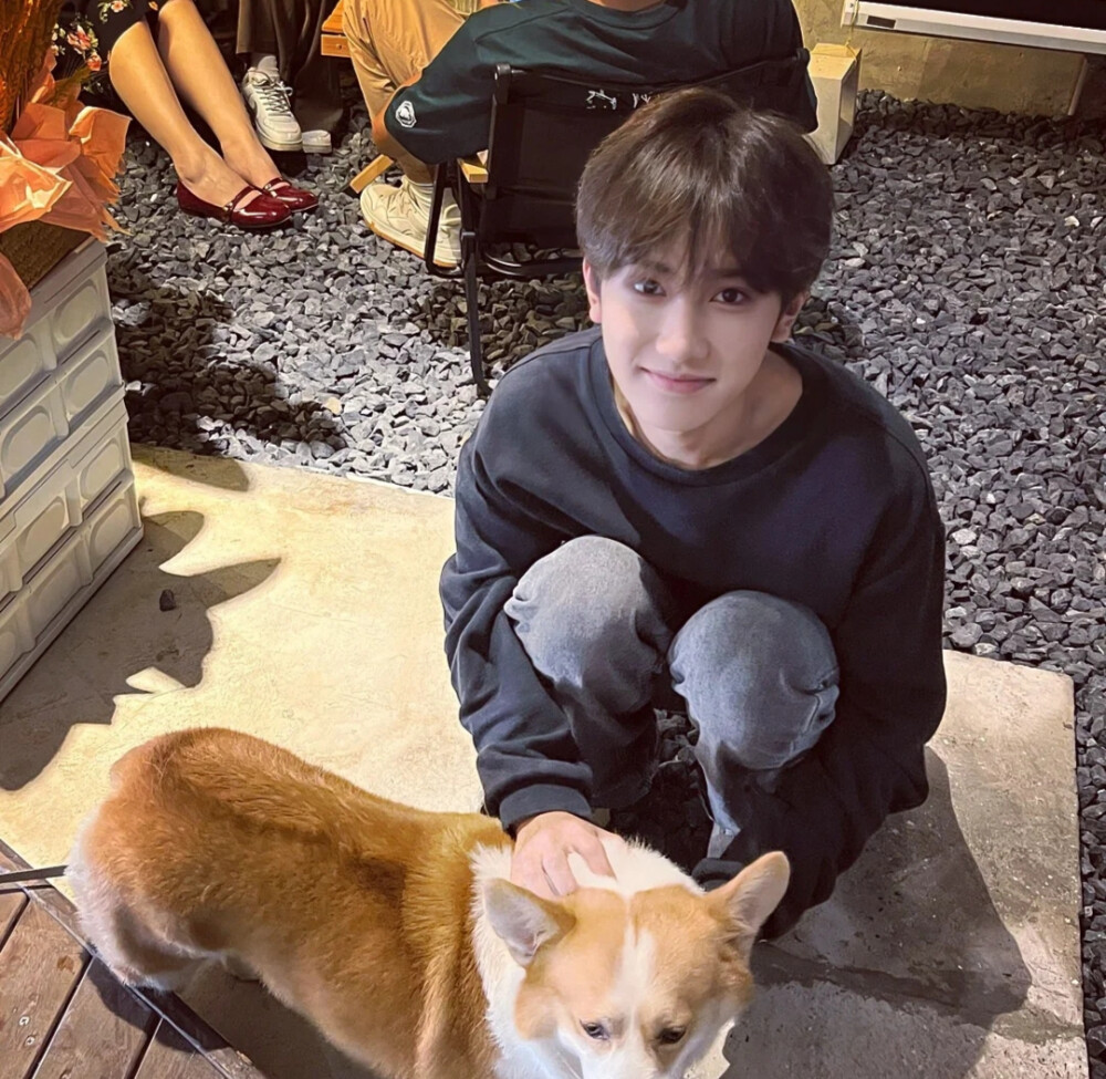 宁采玫瑰不采臣