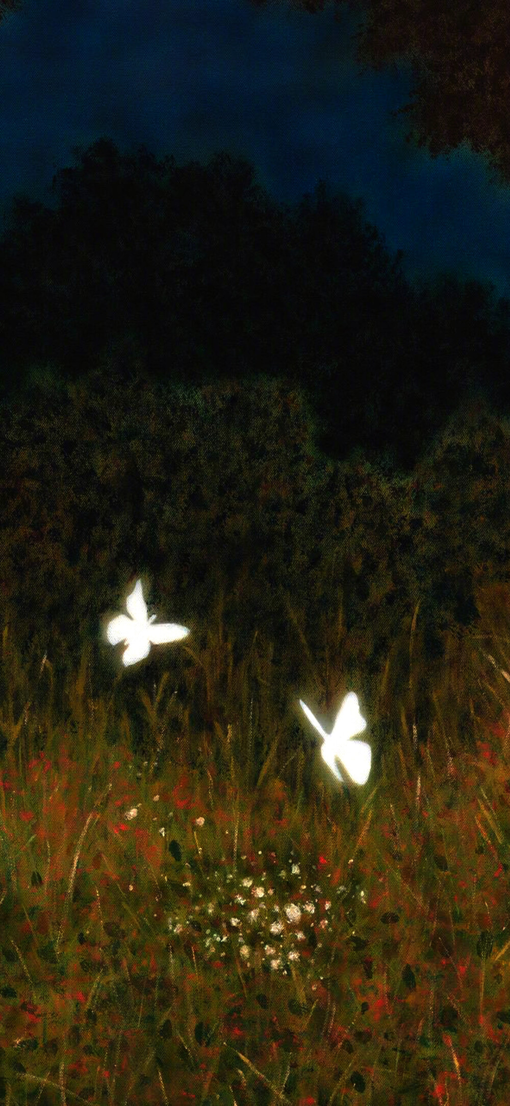 壁纸｜取自网络 侵删