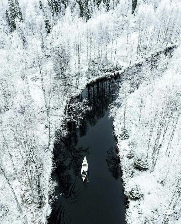 雪景