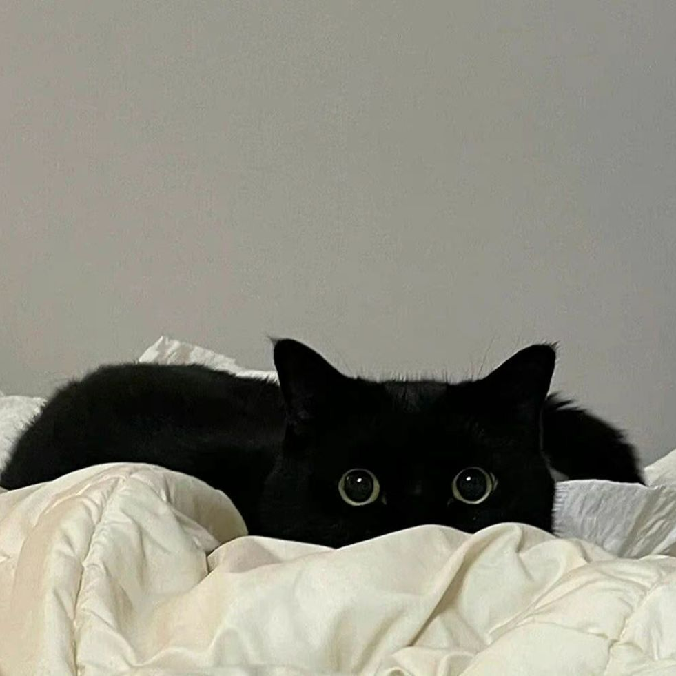 可爱萌宠#喵星人#汪星人#‖你的陪伴不是最长情但却是最常情。