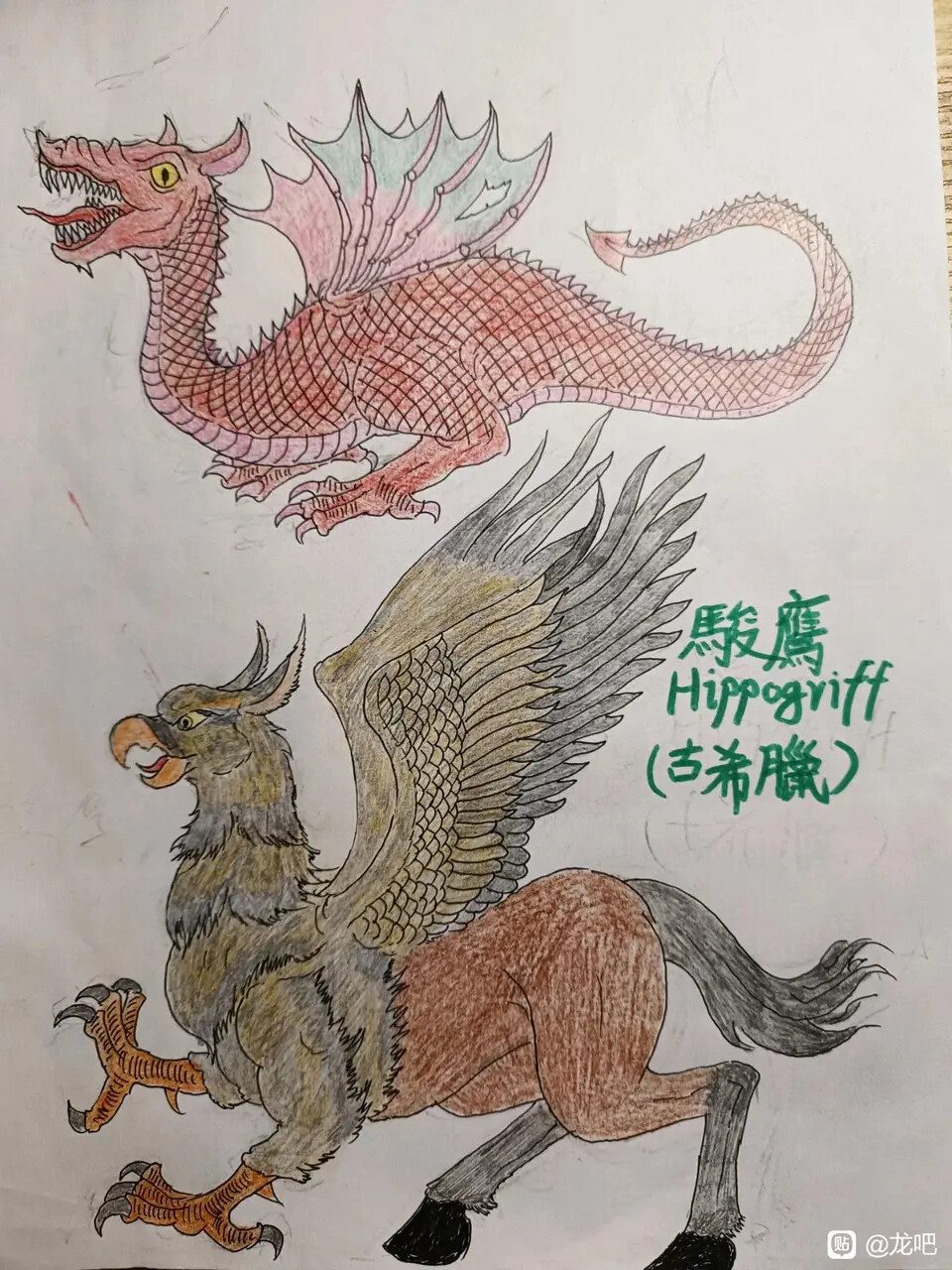 魔兽绘画作品