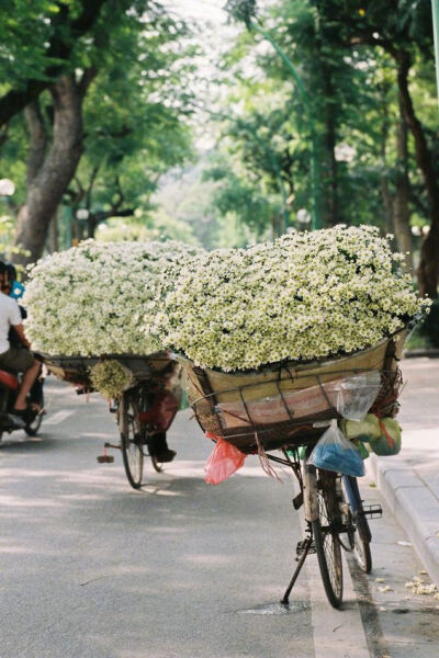 行走的卖花人