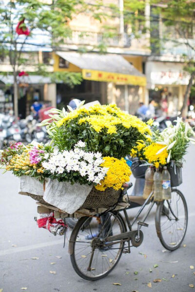 行走的卖花人