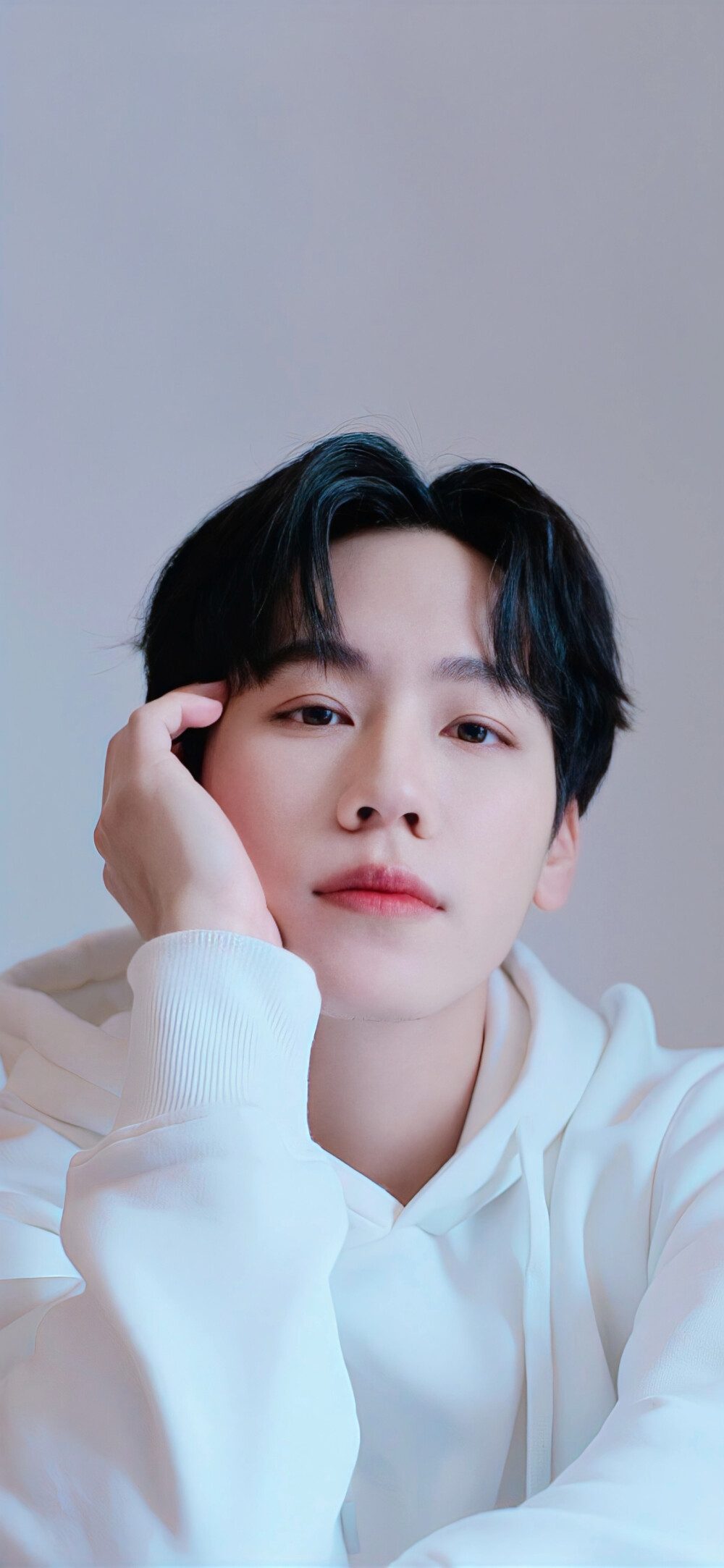 刘沃沃 壁纸 cr:爱吃糖的彤