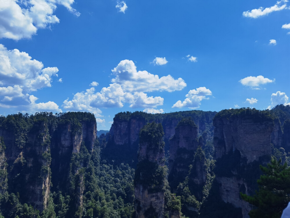 张家界风景图