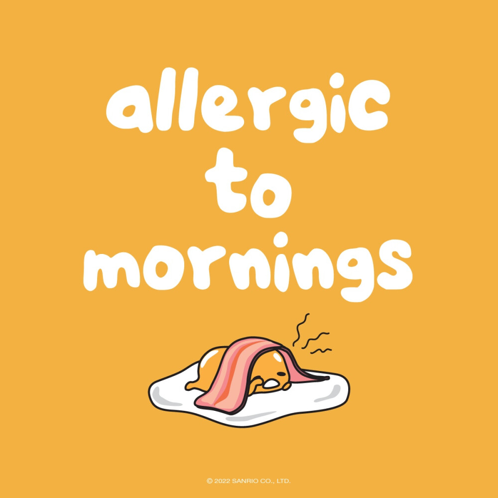 『 三丽鸥 』蛋黄哥▪头像