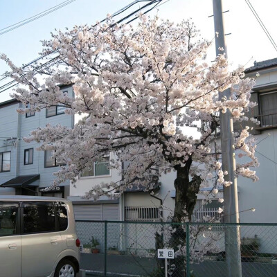 冷淡风 冬天 背景图 高级感