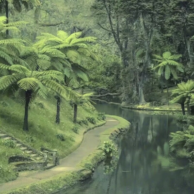 背景图可二改