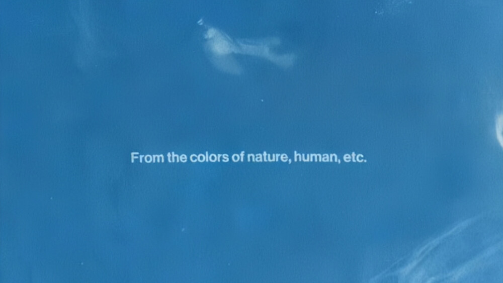 Wild flower: 狂放主人公.RM "氤氲-indigo盛大谱写的艺术作品"