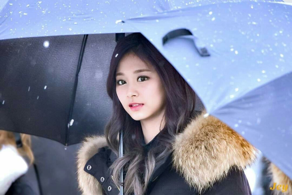 周子瑜 tzuyu
/图源见logo ​​​侵删