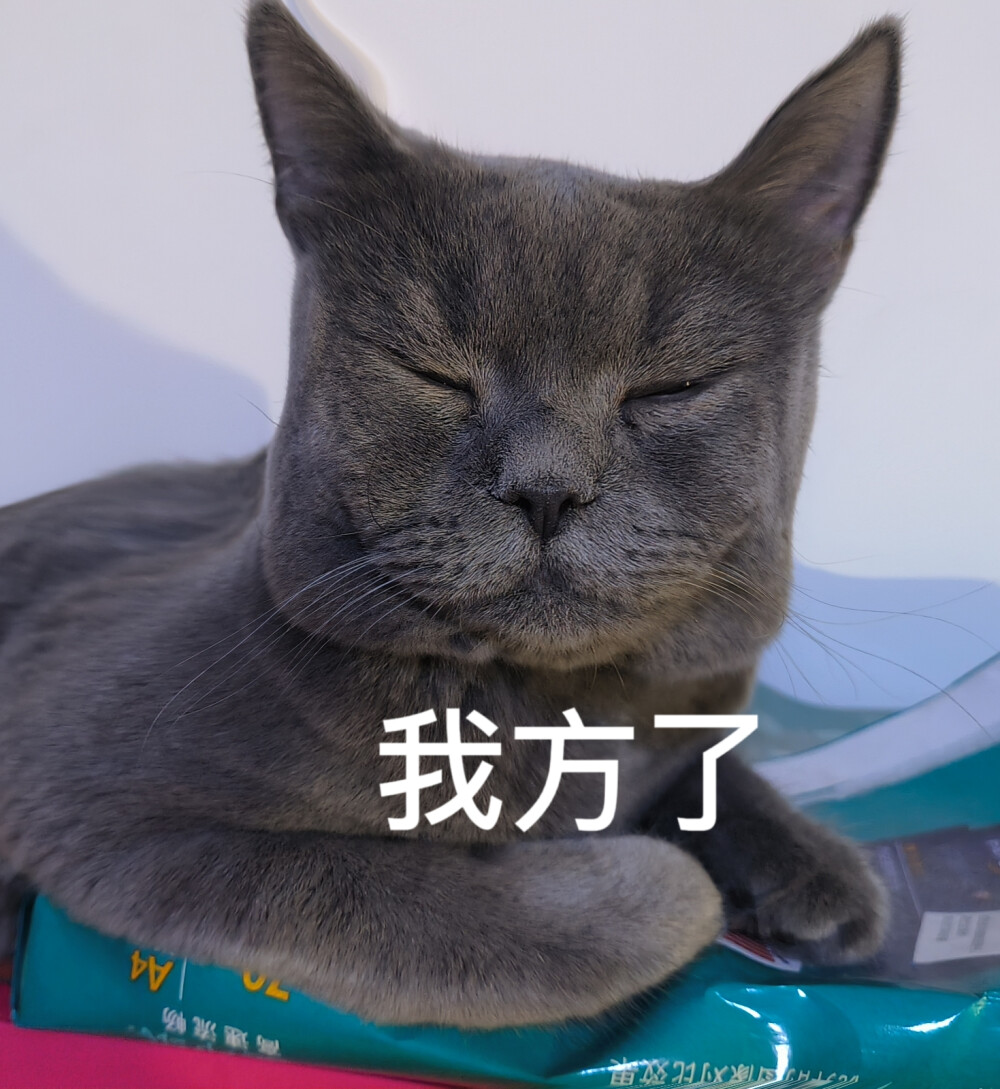 【原创】英短蓝猫表情包