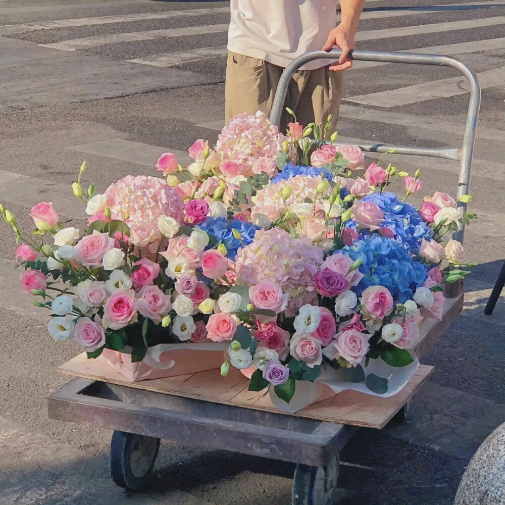 花背景图.高清