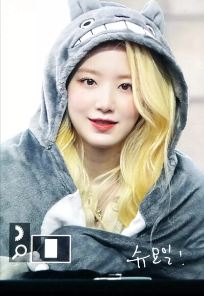 （G）IDLE叶舒华