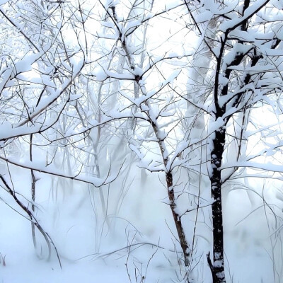 雪の中で愛し合う