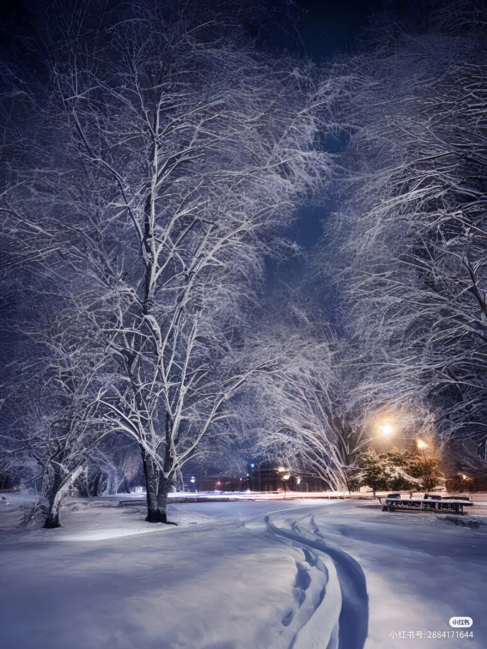 雪景