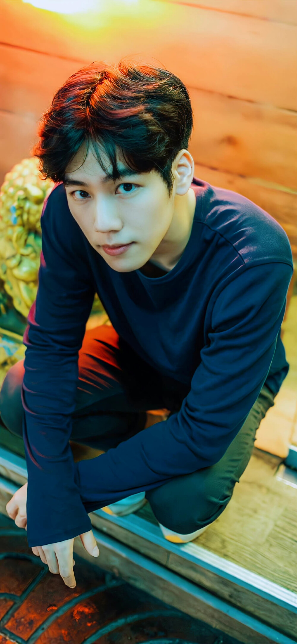 刘沃沃 壁纸 cr:爱吃糖的彤