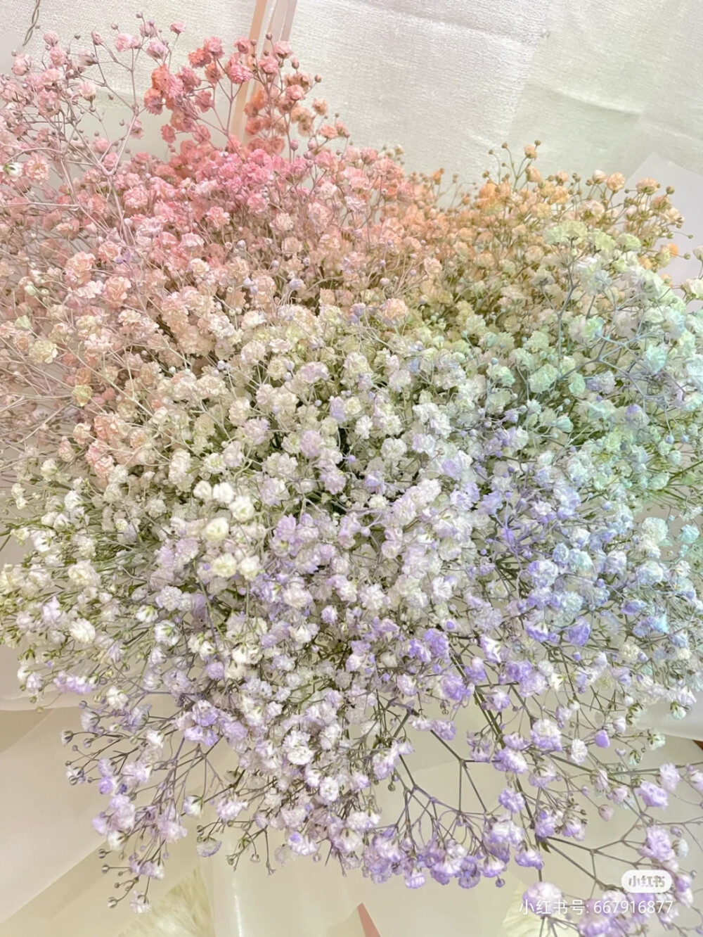 “有一种花它叫满天星，它的花语是”“我甘愿做配角”“瞒着所有人爱你”“我携满天星辰赠与你”“但仍觉得满天星辰不及你”