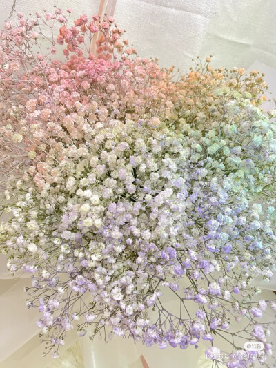 “有一种花它叫满天星，它的花语是”“我甘愿做配角”“瞒着所有人爱你”“我携满天星辰赠与你”“但仍觉得满天星辰不及你”