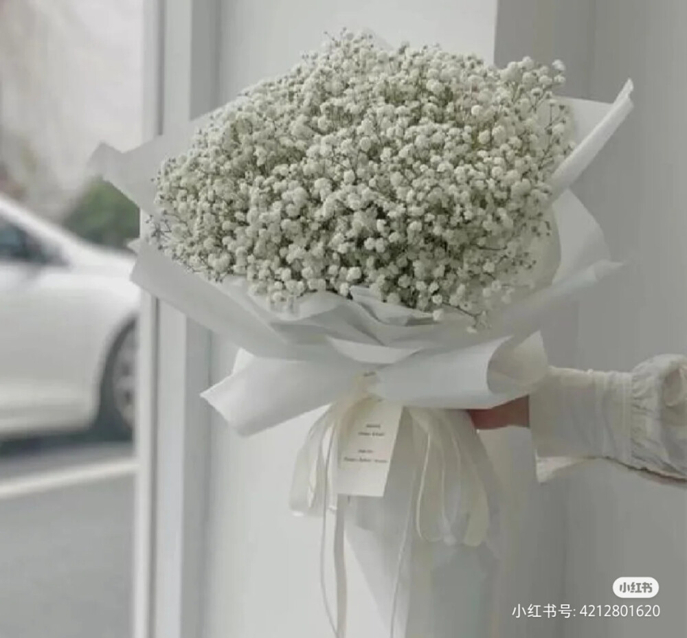 “有一种花它叫满天星，它的花语是”“我甘愿做配角”“瞒着所有人爱你”“我携满天星辰赠与你”“但仍觉得满天星辰不及你”