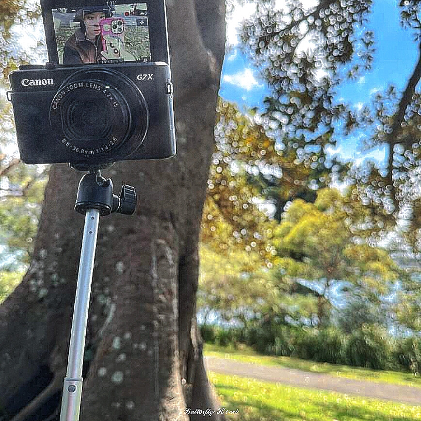 等待千年只为你惊鸿一瞥，我的松月公子