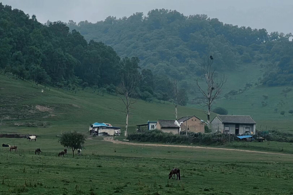 关山牧场