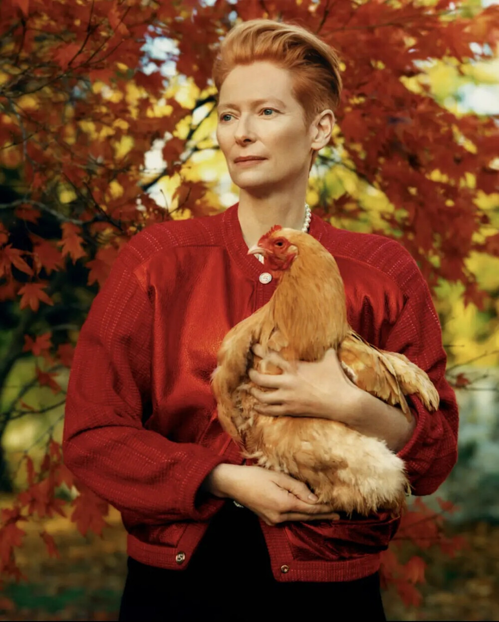 蒂尔达·斯文顿
Tilda ·Swinton