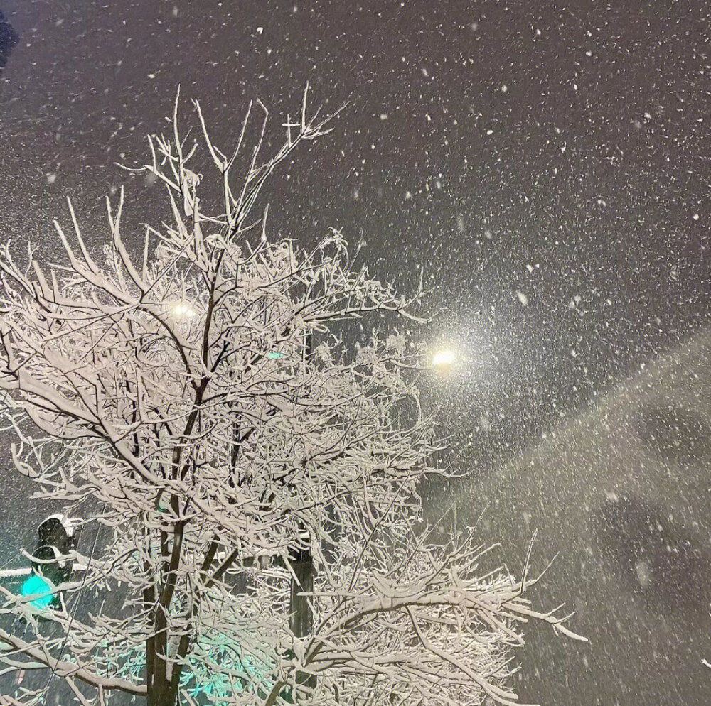 雪