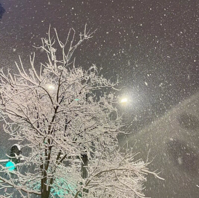 雪