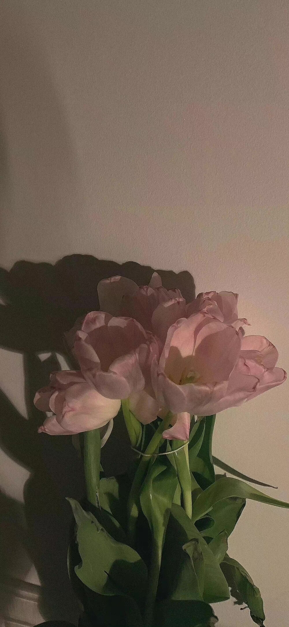 治愈系壁纸 | 少女心壁纸 | 素质拿图