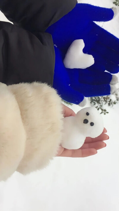 壁纸
雪