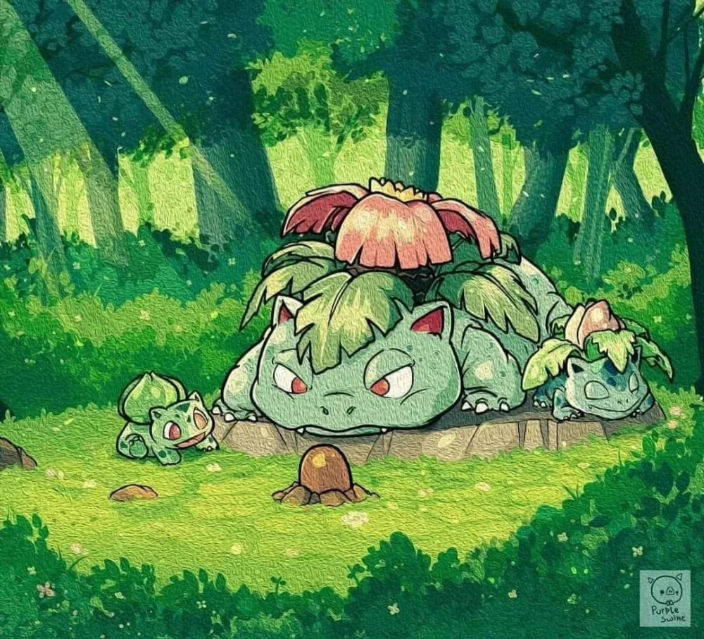 宝可梦