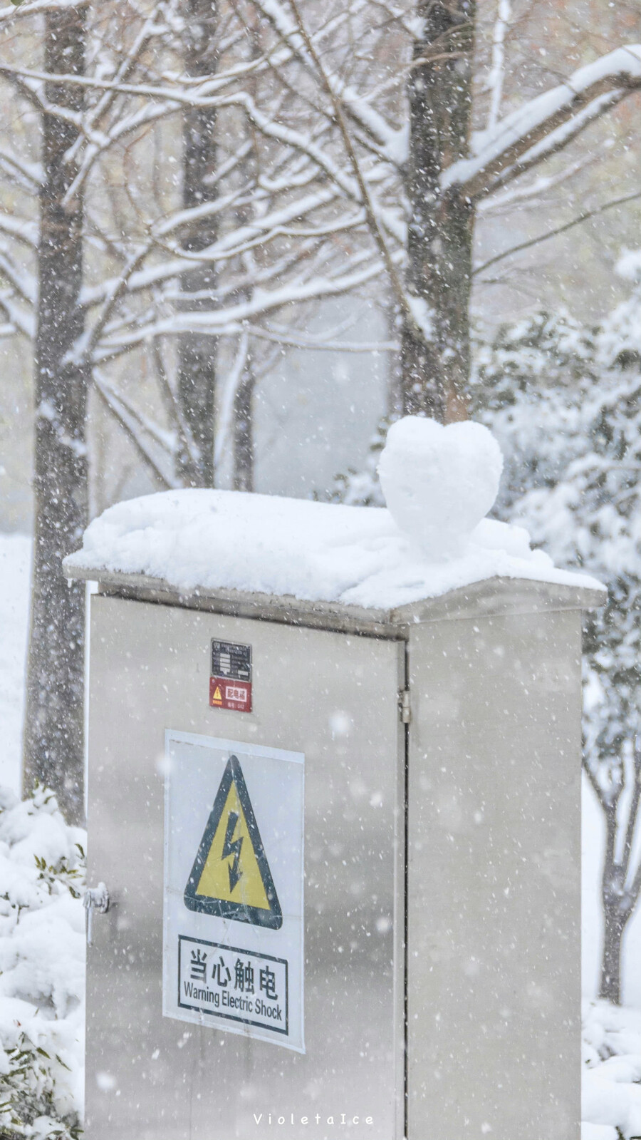 壁纸 下雪