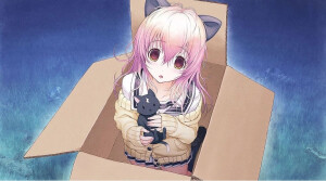 亚文化/Animecore/动漫核/cutecore/二次元